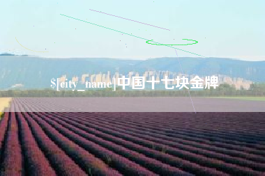 肇州中国十七块金牌