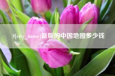 肇州新版的中国地图多少钱