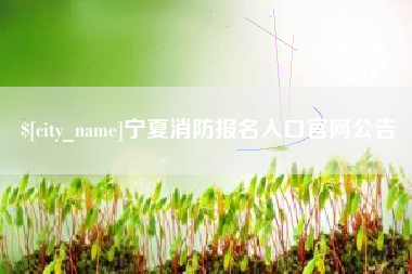 肇州宁夏消防报名入口官网公告