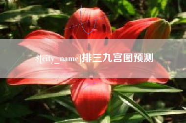 肇州排三九宫图预测