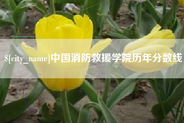 肇州中国消防救援学院历年分数线