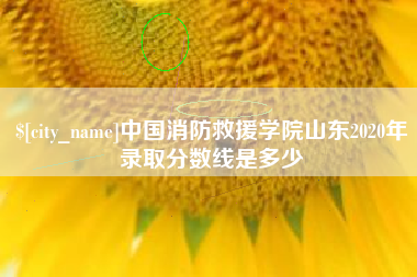 肇州中国消防救援学院山东2020年录取分数线是多少