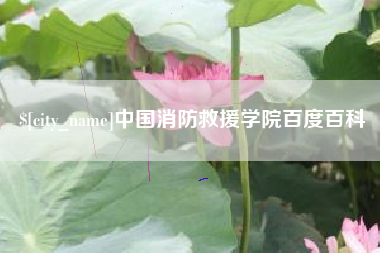 肇州中国消防救援学院百度百科