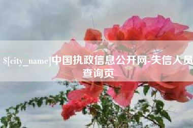 肇州中国执政信息公开网-失信人员查询页