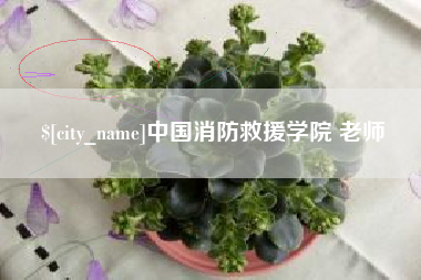 肇州中国消防救援学院 老师