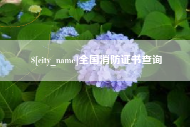 肇州全国消防证书查询