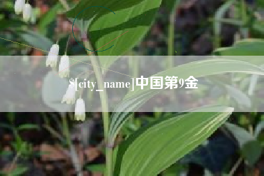 肇州中国第9金