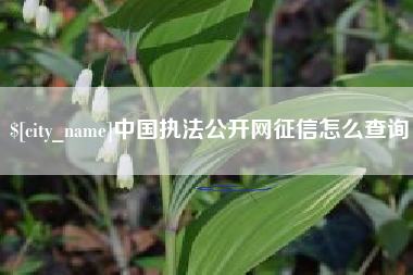 肇州中国执法公开网征信怎么查询