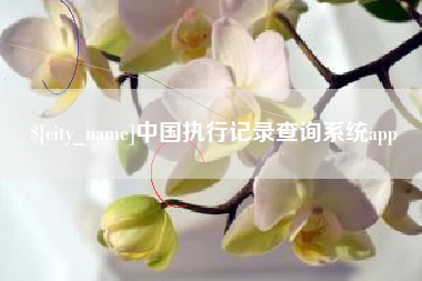 肇州中国执行记录查询系统app