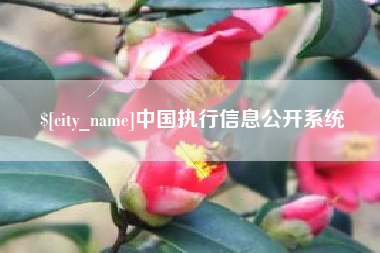 肇州中国执行信息公开系统
