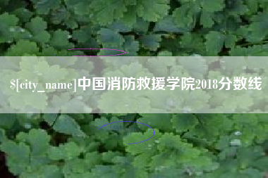 肇州中国消防救援学院2018分数线