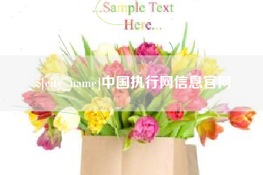 肇州中国执行网信息官网