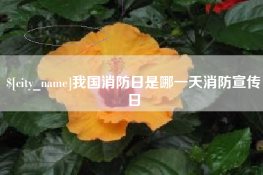 肇州我国消防日是哪一天消防宣传日