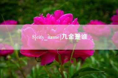肇州九金是谁