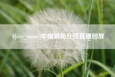 肇州中国消防在线直播回放