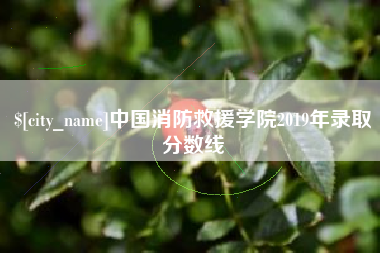 肇州中国消防救援学院2019年录取分数线