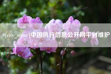 肇州中国执行信息公开网平台维护