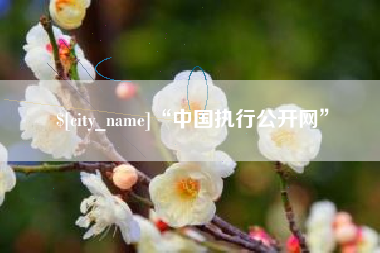 肇州“中国执行公开网”