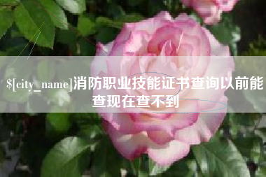肇州消防职业技能证书查询以前能查现在查不到