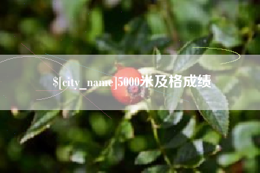 肇州5000米及格成绩