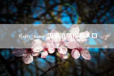 肇州国家消防报名入口
