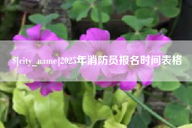 肇州2025年消防员报名时间表格
