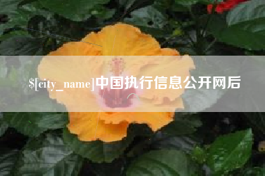 肇州中国执行信息公开网后