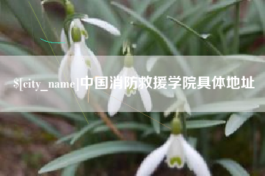 肇州中国消防救援学院具体地址