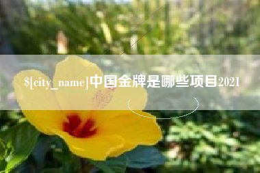肇州中国金牌是哪些项目2021