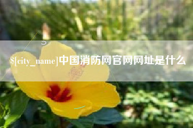 肇州中国消防网官网网址是什么