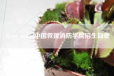 肇州中国救援消防学院招生简章