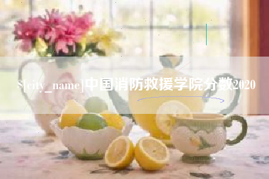 肇州中国消防救援学院分数2020