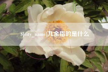 肇州九金指的是什么