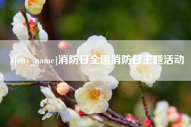 肇州消防日全国消防日主题活动