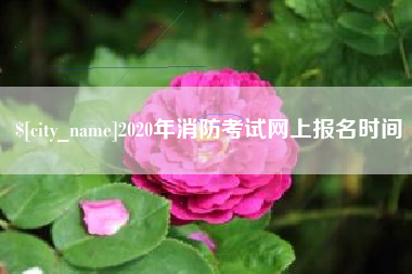 肇州2020年消防考试网上报名时间