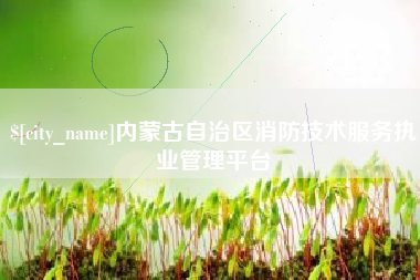 肇州内蒙古自治区消防技术服务执业管理平台