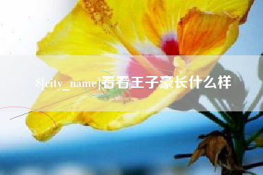 肇州看看王子豪长什么样