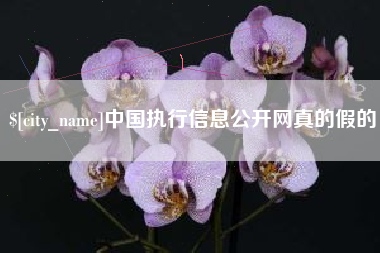 肇州中国执行信息公开网真的假的