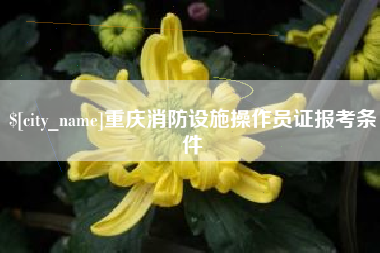 肇州重庆消防设施操作员证报考条件