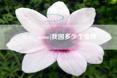 肇州我国多少个金牌