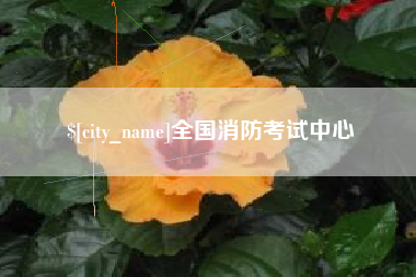 肇州全国消防考试中心