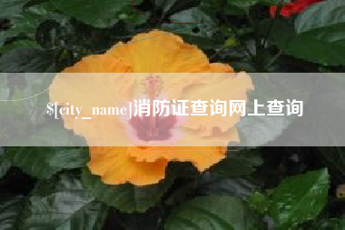 肇州消防证查询网上查询