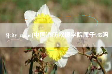 肇州中国消防救援学院属于985吗