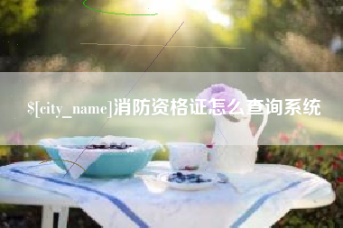 肇州消防资格证怎么查询系统
