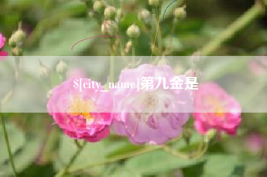 肇州第九金是