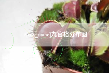 肇州九宫格分布图