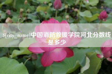 肇州中国消防救援学院河北分数线是多少