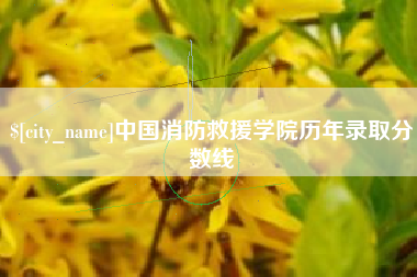 肇州中国消防救援学院历年录取分数线