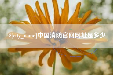 肇州中国消防官网网址是多少