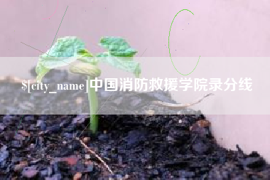 肇州中国消防救援学院录分线
